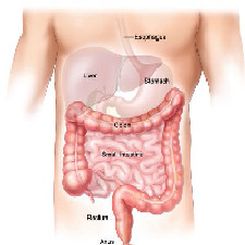 GIẢI ĐỘC CƠ THỂ - DETOXIFICATION