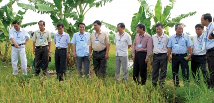 CÔNG TY CỔ PHẦN THƯƠNG MẠI SẢN XUẤT VIỄN PHÚ, HUYỆN U MINH: PHÁT TRIỂN LÚA SẠCH THEO TIÊU CHUẨN QUỐC TẾ