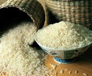 GẠO TRUNG QUỐC GÂY SUY THẬN, HỎNG XƯƠNG