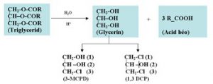 NGUỒN TỪ: http://vietsciences.free.fr)