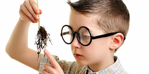 THIẾU MÁU DO THIẾU SẮT, GIẢM IQ
