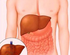 NHIỀU LOẠI THUỐC HẠI GAN