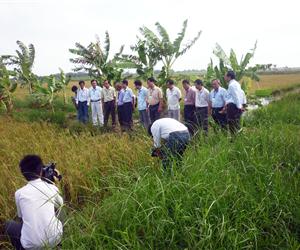 Chương trình Farm Tour Viễn Phú 2013