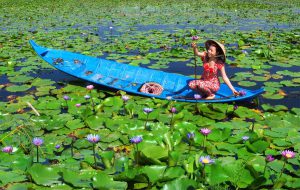 Nông trại Viễn Phú