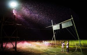 Nông trại Viễn Phú